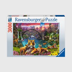 Ravensburger_Puzzle_3000_Teile_Unisex__400x400px.jpg